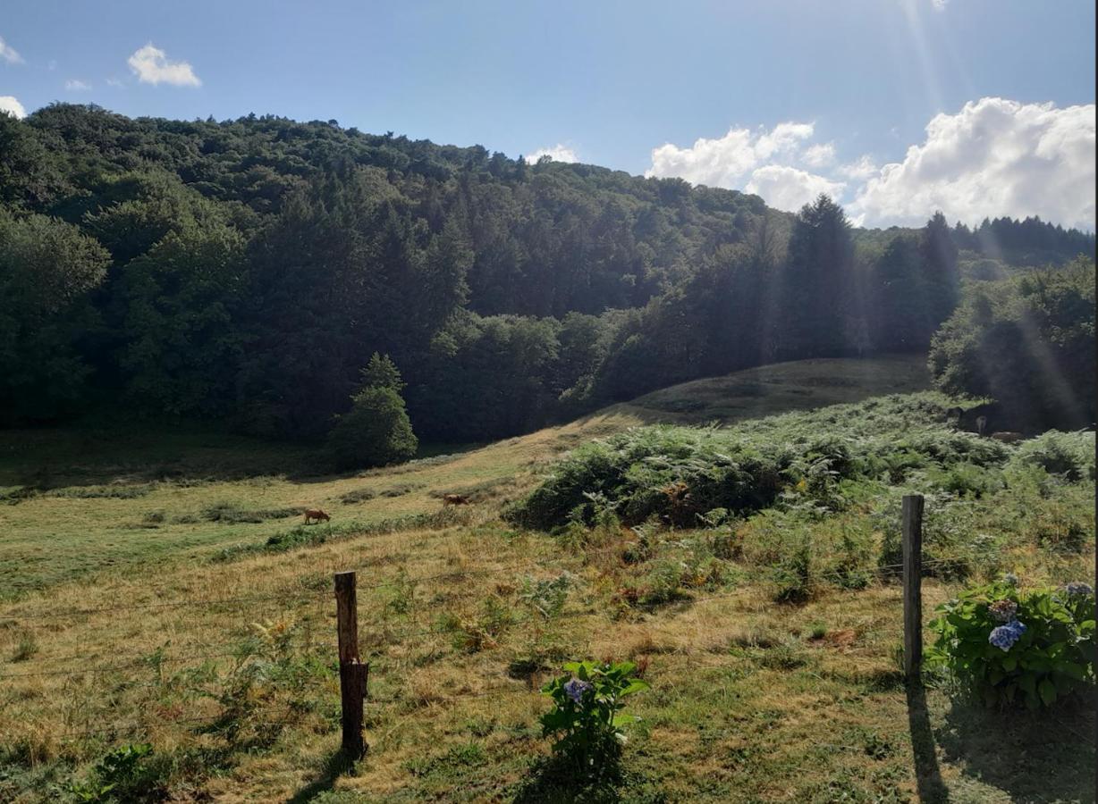 Chalet Charmant A Saint-Sylvestre Avec Terrasse Et Jardin Ambazac Exterior foto